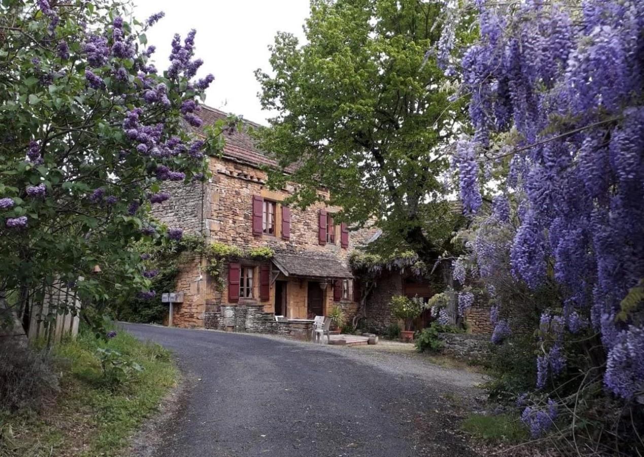 La Libellule And Le Papillon Gites At Les Leroux, Near Frayssinet-le-Gélat Buitenkant foto