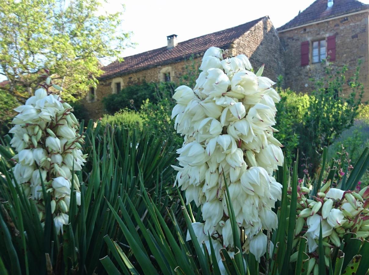 La Libellule And Le Papillon Gites At Les Leroux, Near Frayssinet-le-Gélat Buitenkant foto