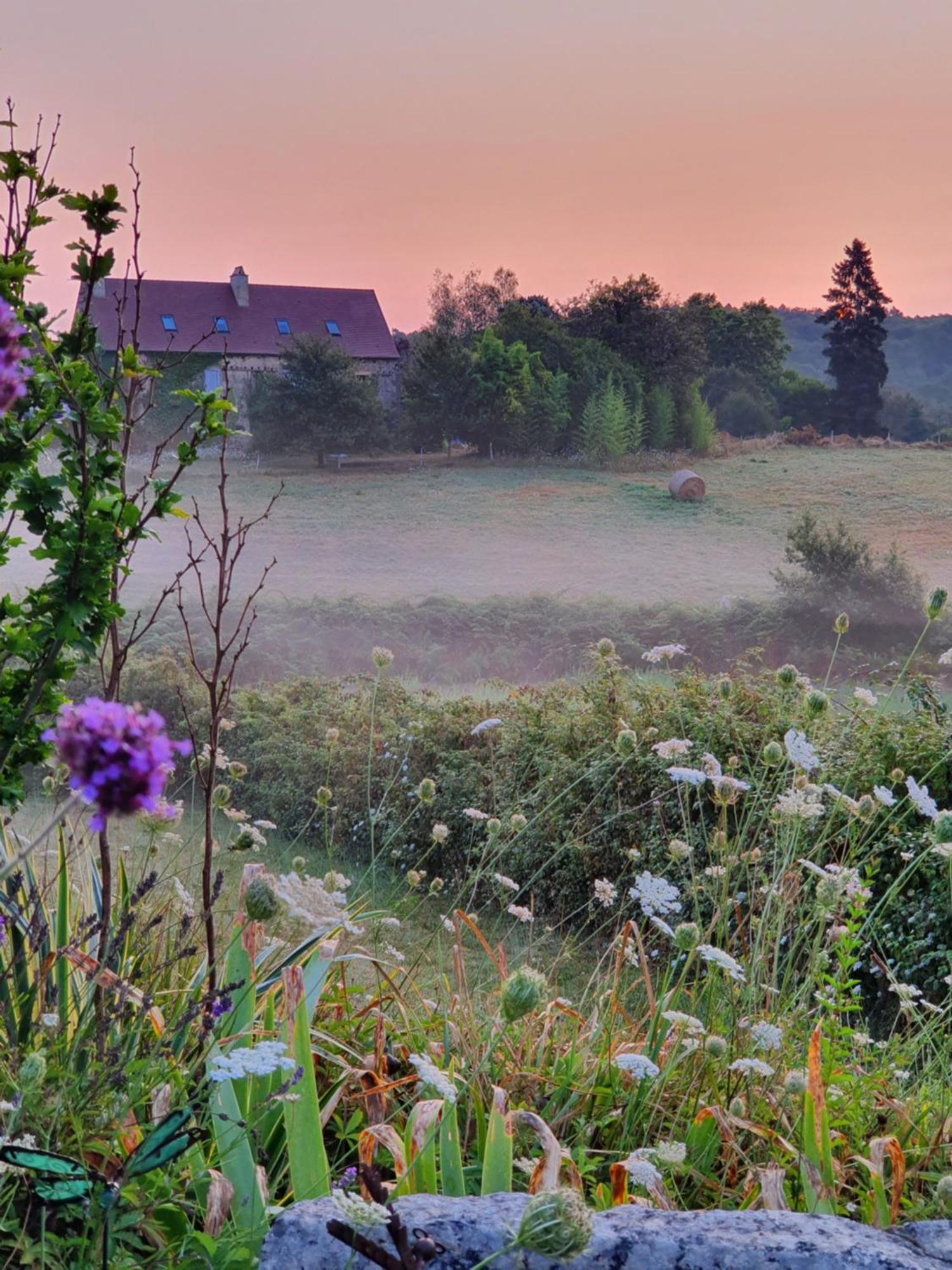 La Libellule And Le Papillon Gites At Les Leroux, Near Frayssinet-le-Gélat Buitenkant foto